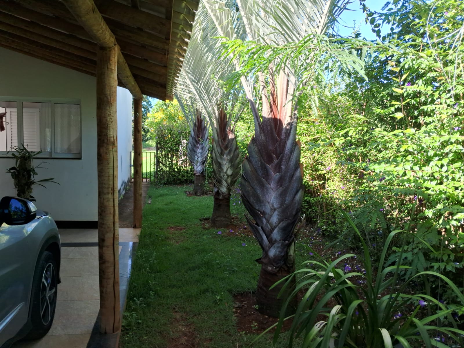 Casa de Condomínio à venda com 3 quartos, 400m² - Foto 4