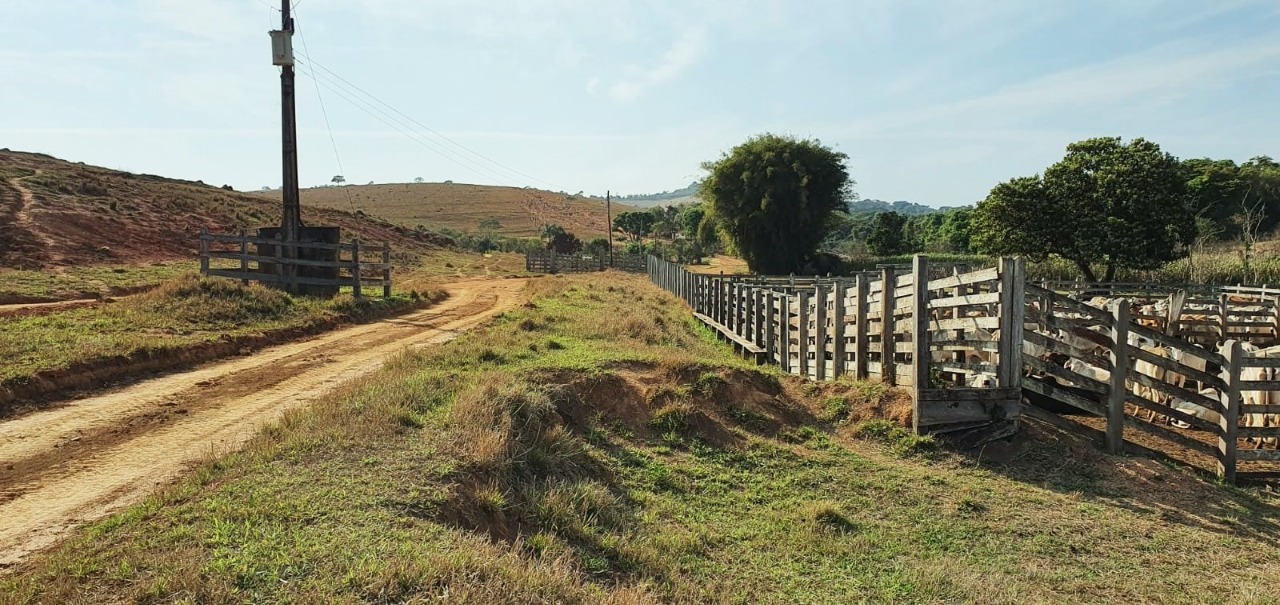 Chácara à venda com 2 quartos, 1936000m² - Foto 17