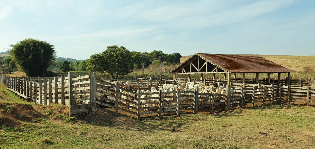 Chácara à venda com 2 quartos, 1936000m² - Foto 18