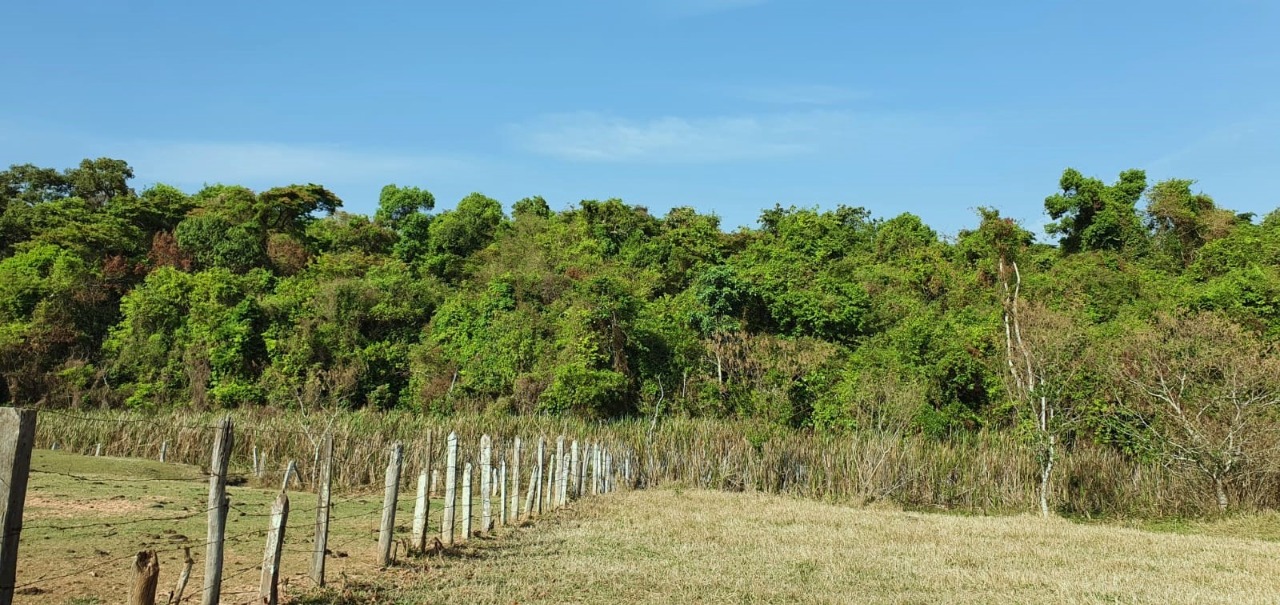 Chácara à venda com 2 quartos, 1936000m² - Foto 15