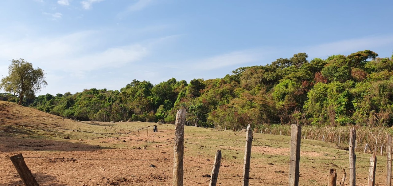 Chácara à venda com 2 quartos, 1936000m² - Foto 16