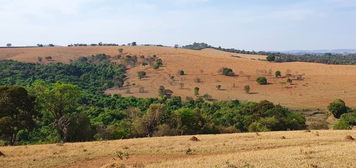 Chácara à venda com 2 quartos, 1936000m² - Foto 5