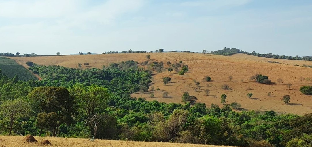 Chácara à venda com 2 quartos, 1936000m² - Foto 4