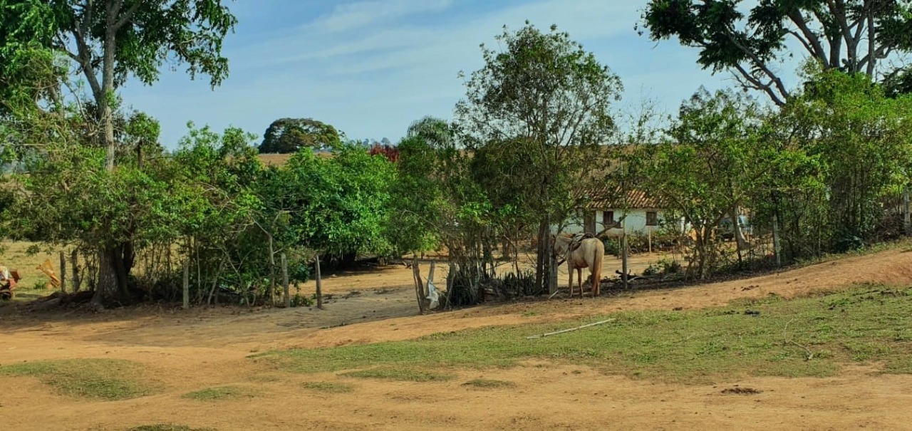 Chácara à venda com 2 quartos, 1936000m² - Foto 21