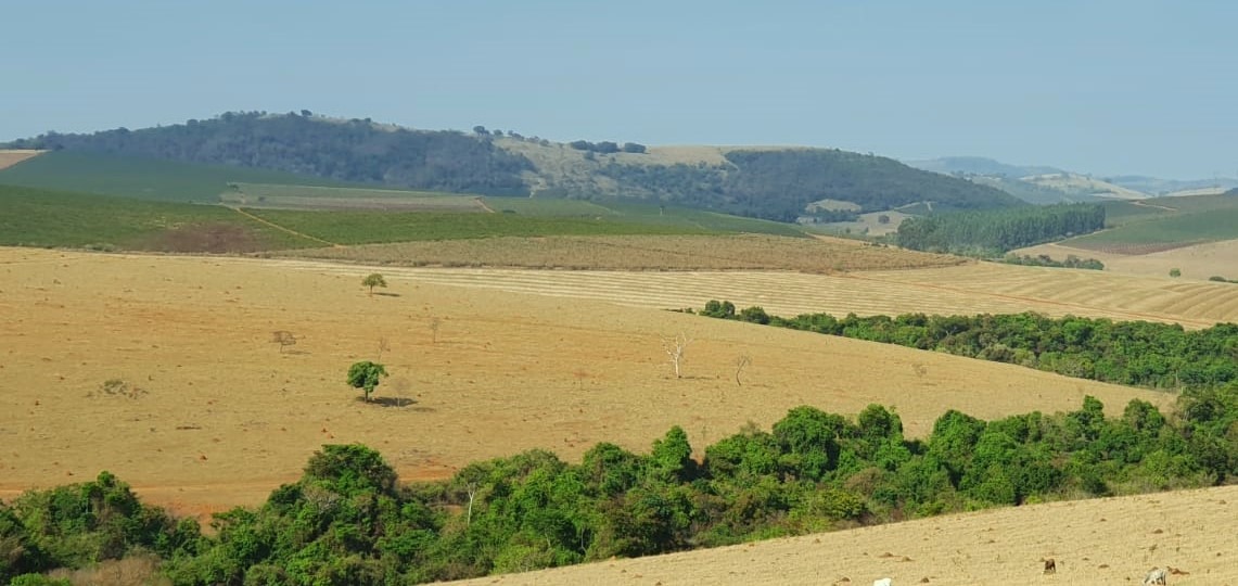 Chácara à venda com 2 quartos, 1936000m² - Foto 6