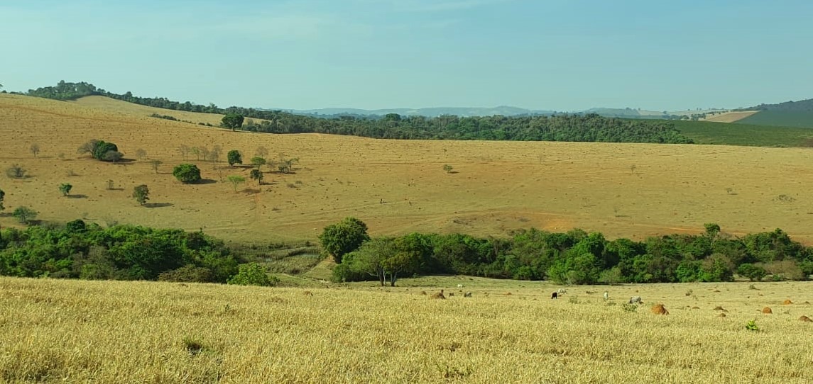 Chácara à venda com 2 quartos, 1936000m² - Foto 7