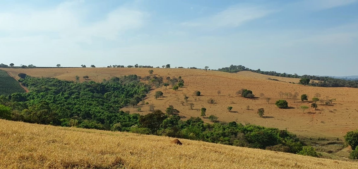 Chácara à venda com 2 quartos, 1936000m² - Foto 8