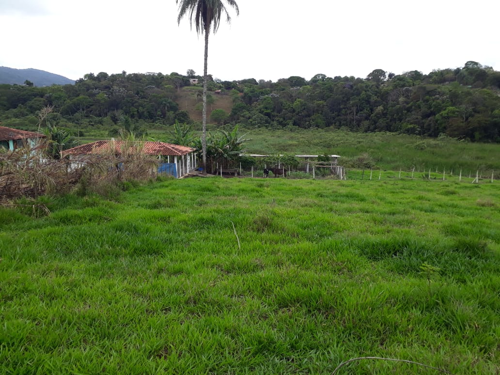 Chácara à venda com 1 quarto, 35000m² - Foto 16