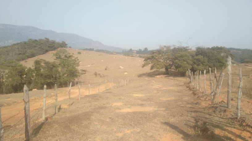 Terreno à venda, 27000m² - Foto 2