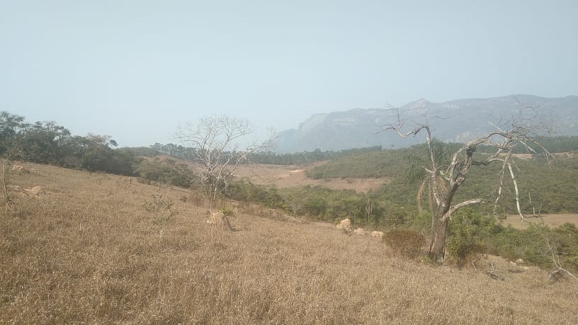 Terreno à venda, 27000m² - Foto 13