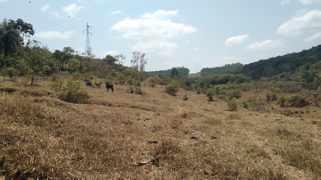 Terreno à venda, 13000m² - Foto 2