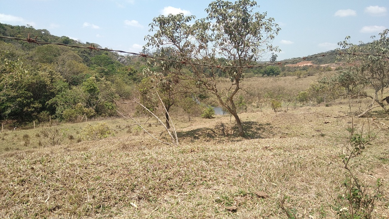 Terreno à venda, 13000m² - Foto 3