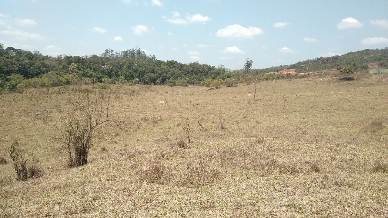 Terreno à venda, 13000m² - Foto 5