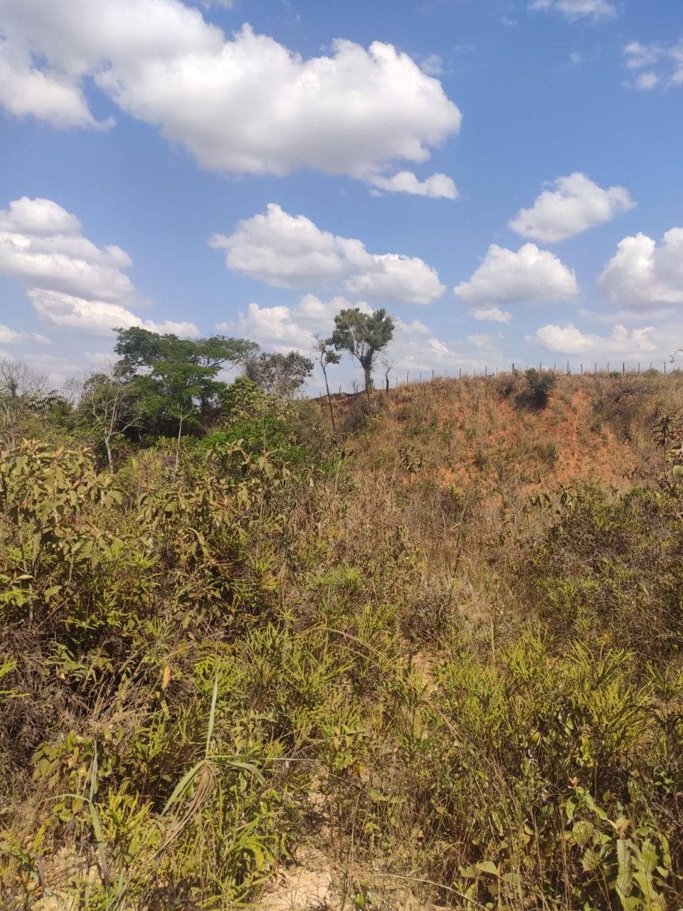 Terreno à venda, 7500m² - Foto 3