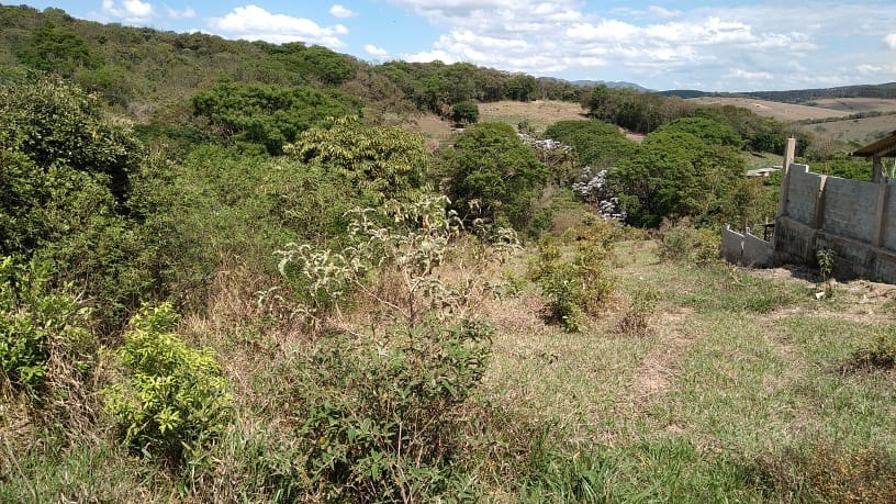 Terreno à venda, 360m² - Foto 2