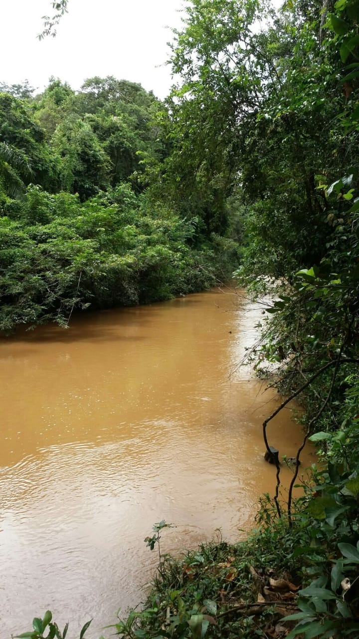 Chácara à venda com 4 quartos, 3090m² - Foto 3