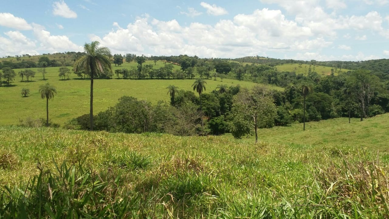 Chácara à venda com 4 quartos, 3090m² - Foto 23