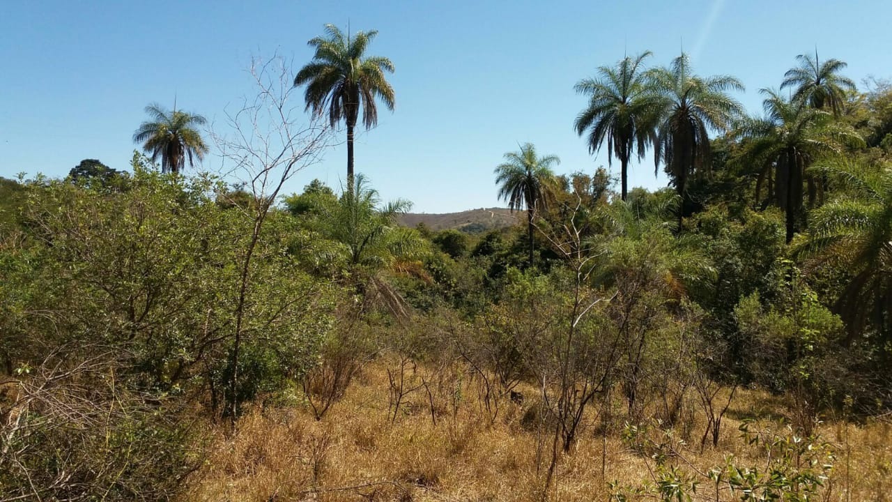 Terreno à venda, 30000m² - Foto 4