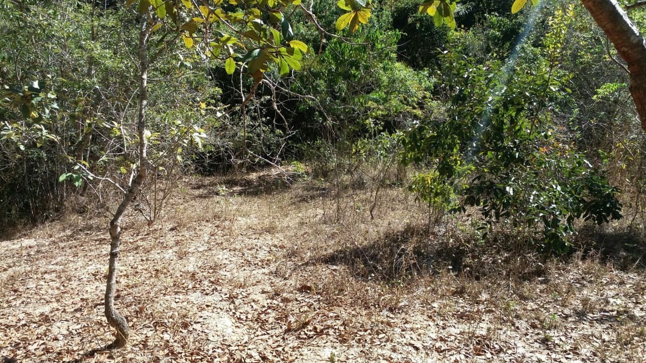 Terreno à venda, 30000m² - Foto 7