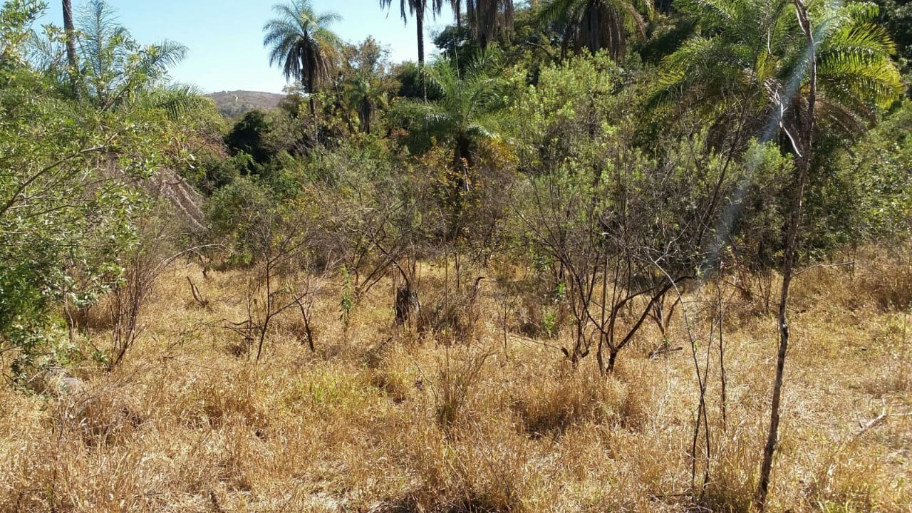 Terreno à venda, 30000m² - Foto 8