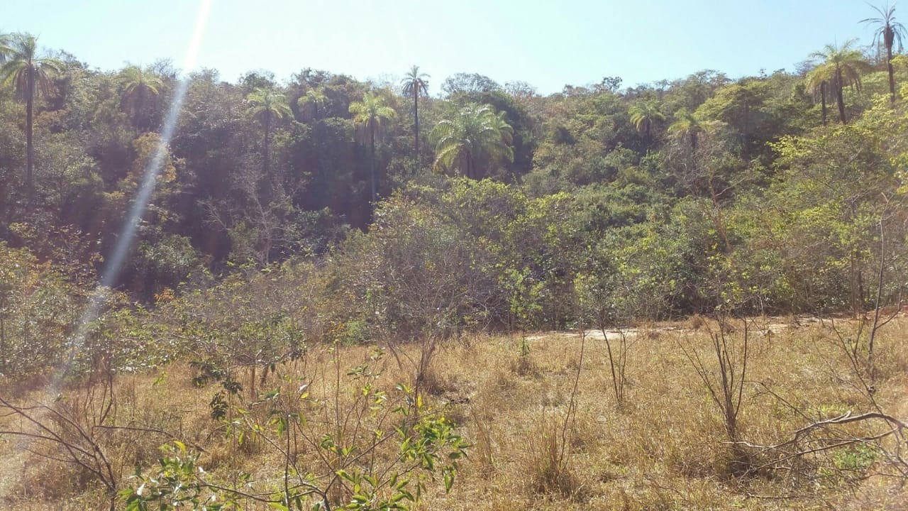 Terreno à venda, 30000m² - Foto 10