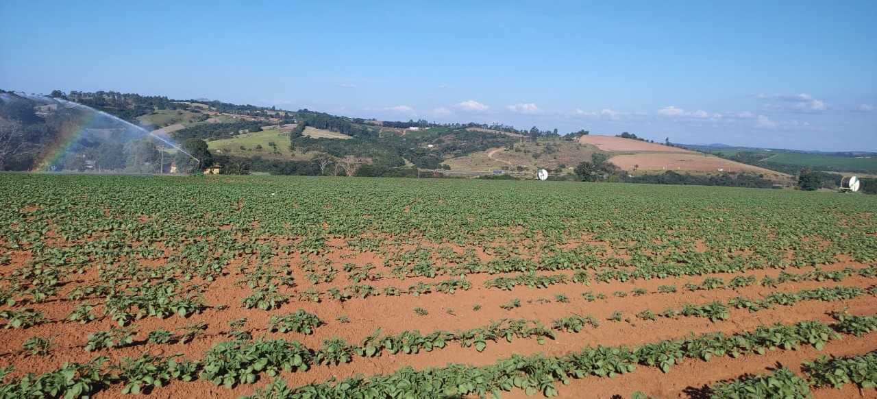 Chácara à venda com 3 quartos, 2030000m² - Foto 2