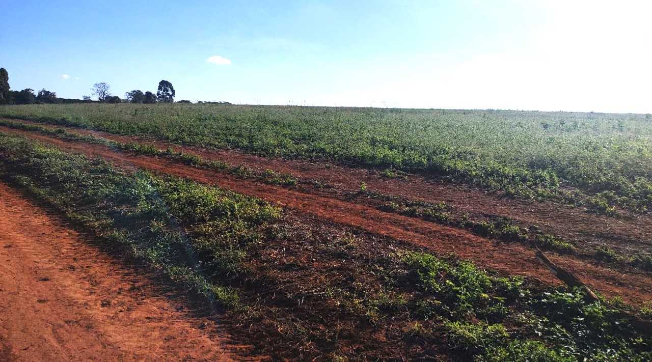 Chácara à venda com 3 quartos, 2030000m² - Foto 6