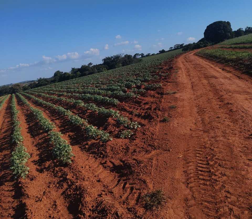 Chácara à venda com 3 quartos, 2030000m² - Foto 4