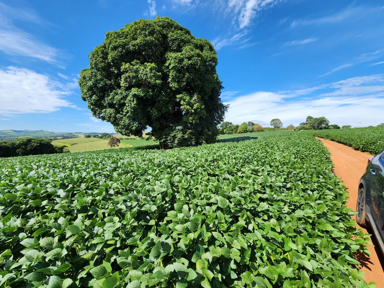 Chácara à venda com 3 quartos, 2030000m² - Foto 3