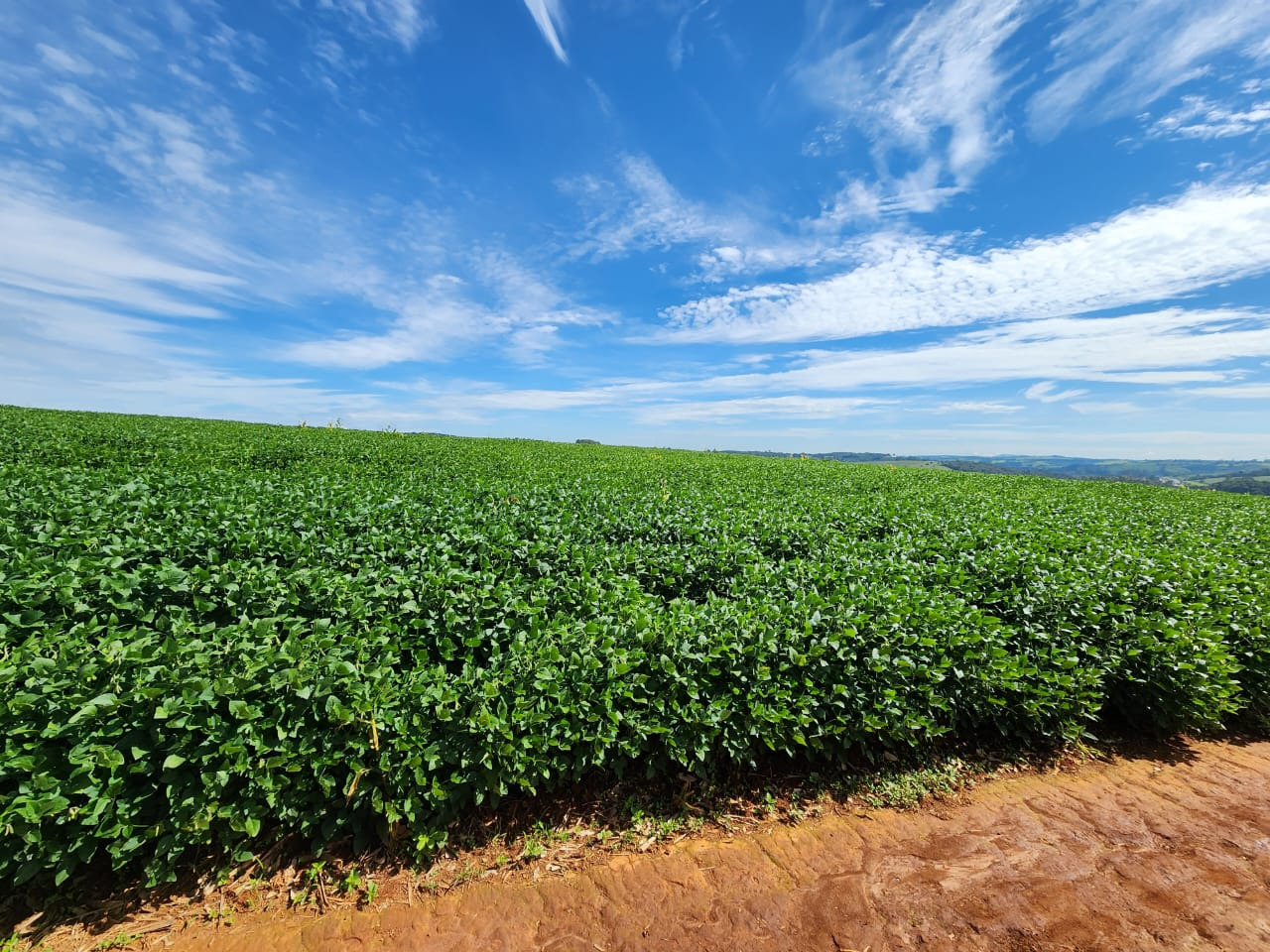 Chácara à venda com 3 quartos, 2030000m² - Foto 5