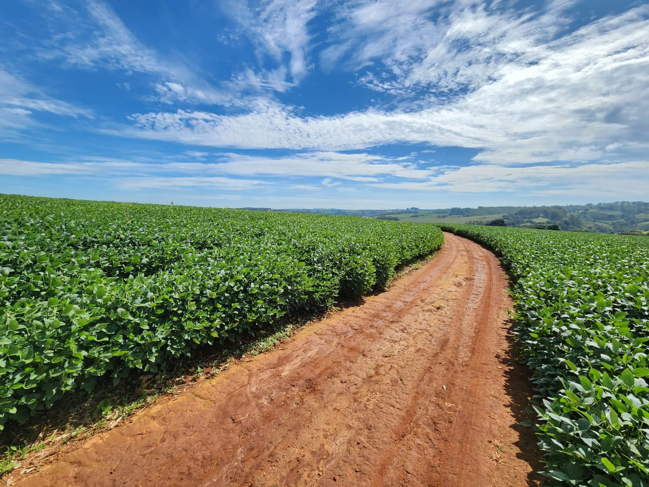 Chácara à venda com 3 quartos, 2030000m² - Foto 7