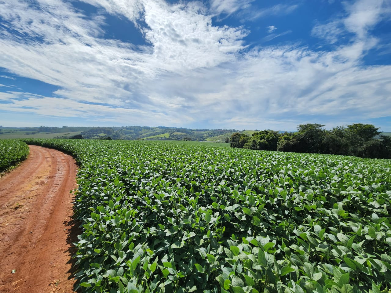 Chácara à venda com 3 quartos, 2030000m² - Foto 11