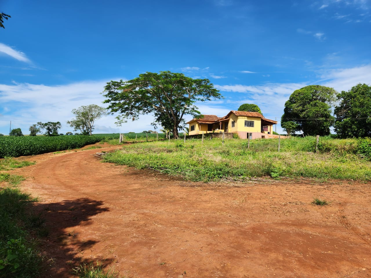 Chácara à venda com 3 quartos, 2030000m² - Foto 15