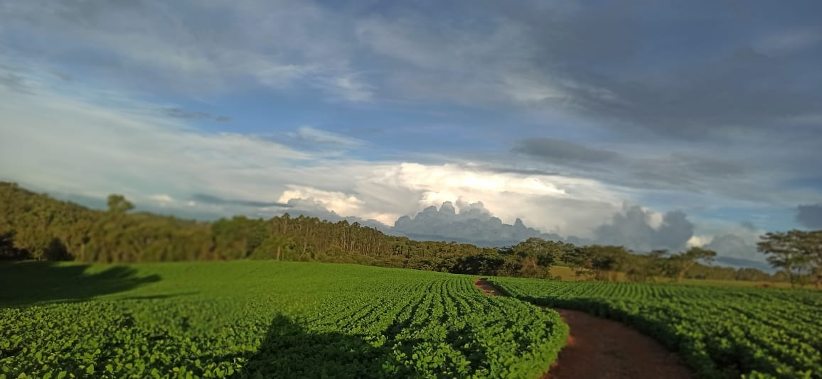 Chácara à venda com 3 quartos, 2030000m² - Foto 17