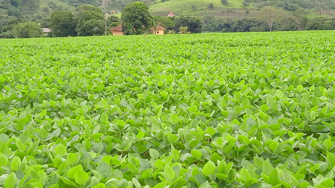 Chácara à venda com 3 quartos, 2030000m² - Foto 14