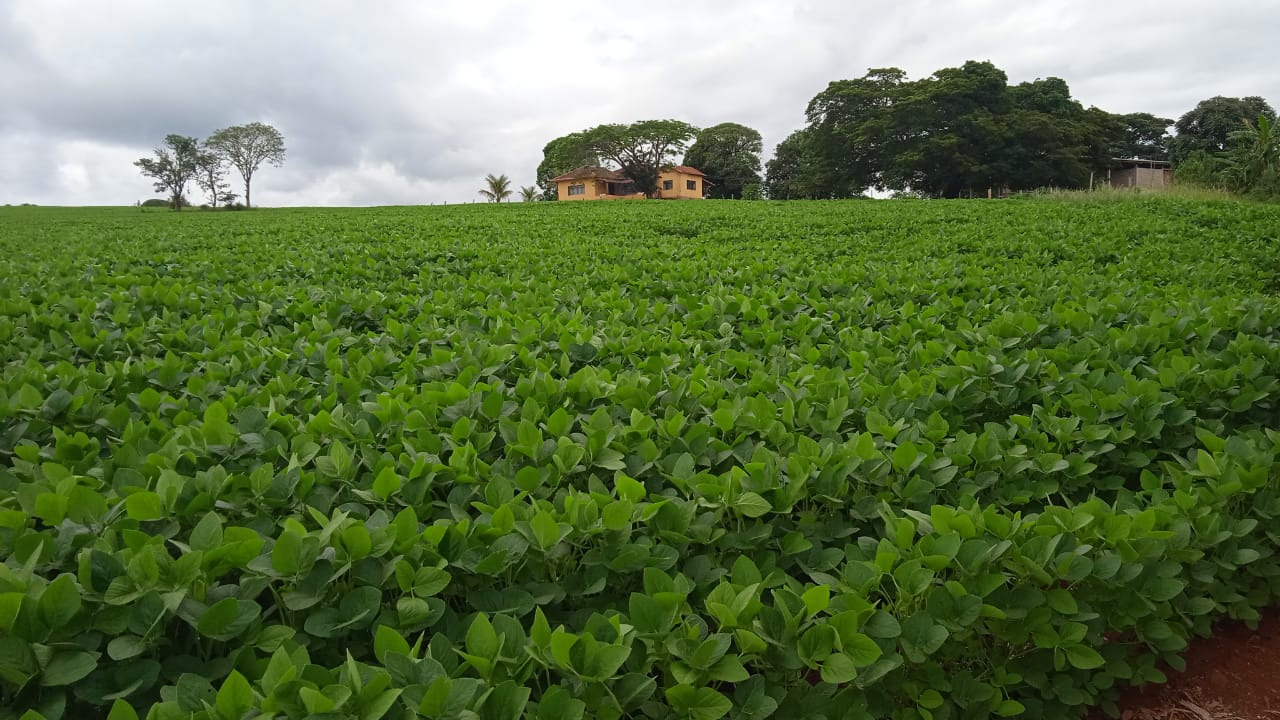 Chácara à venda com 3 quartos, 2030000m² - Foto 18