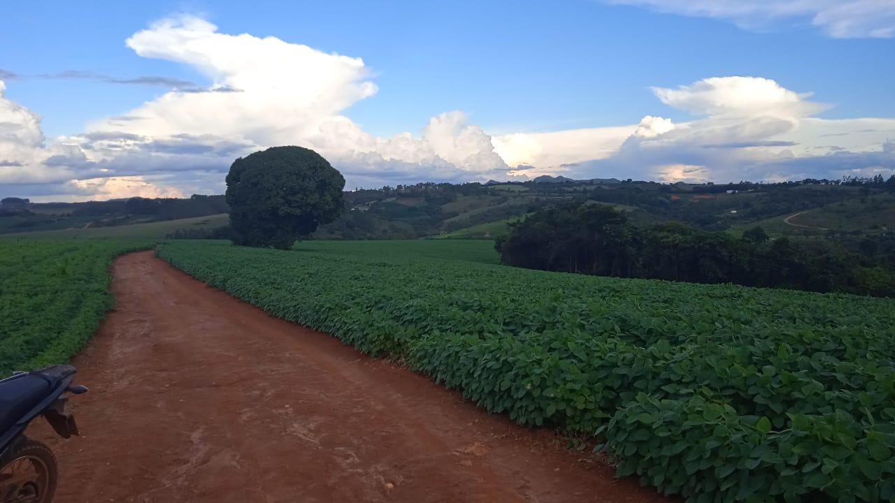 Chácara à venda com 3 quartos, 2030000m² - Foto 22