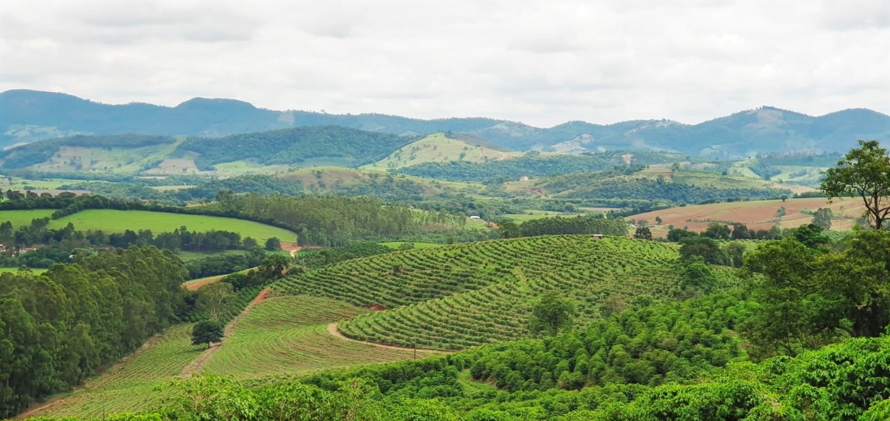 Chácara à venda com 2 quartos, 1179000m² - Foto 7