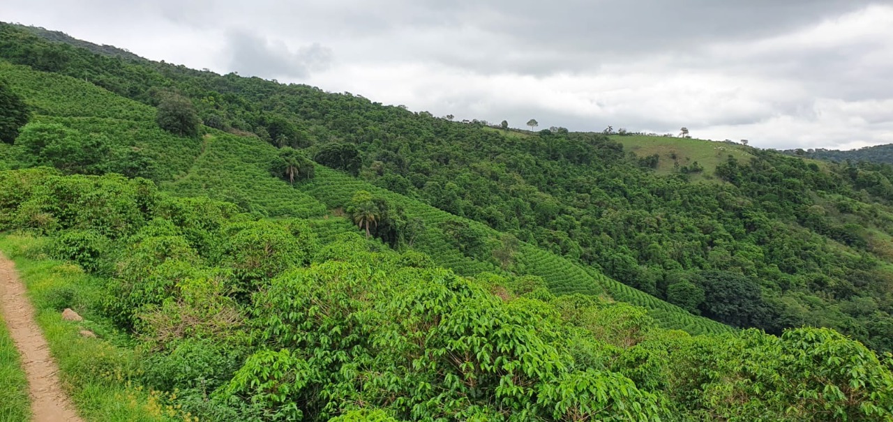 Chácara à venda com 2 quartos, 1179000m² - Foto 4