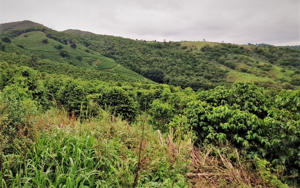 Chácara à venda com 2 quartos, 1179000m² - Foto 2