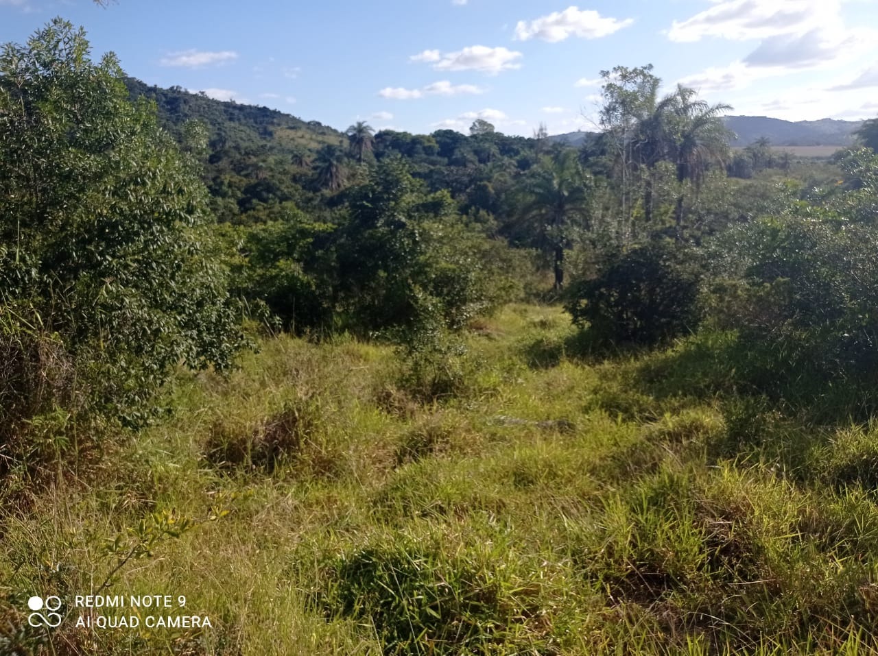 Chácara à venda com 1 quarto, 8900000m² - Foto 2