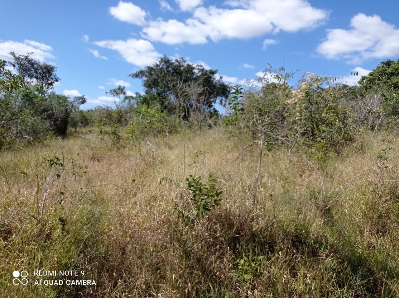 Chácara à venda com 1 quarto, 8900000m² - Foto 5