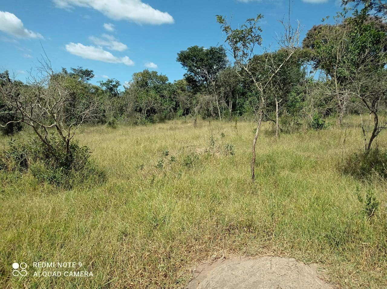 Chácara à venda com 1 quarto, 8900000m² - Foto 8