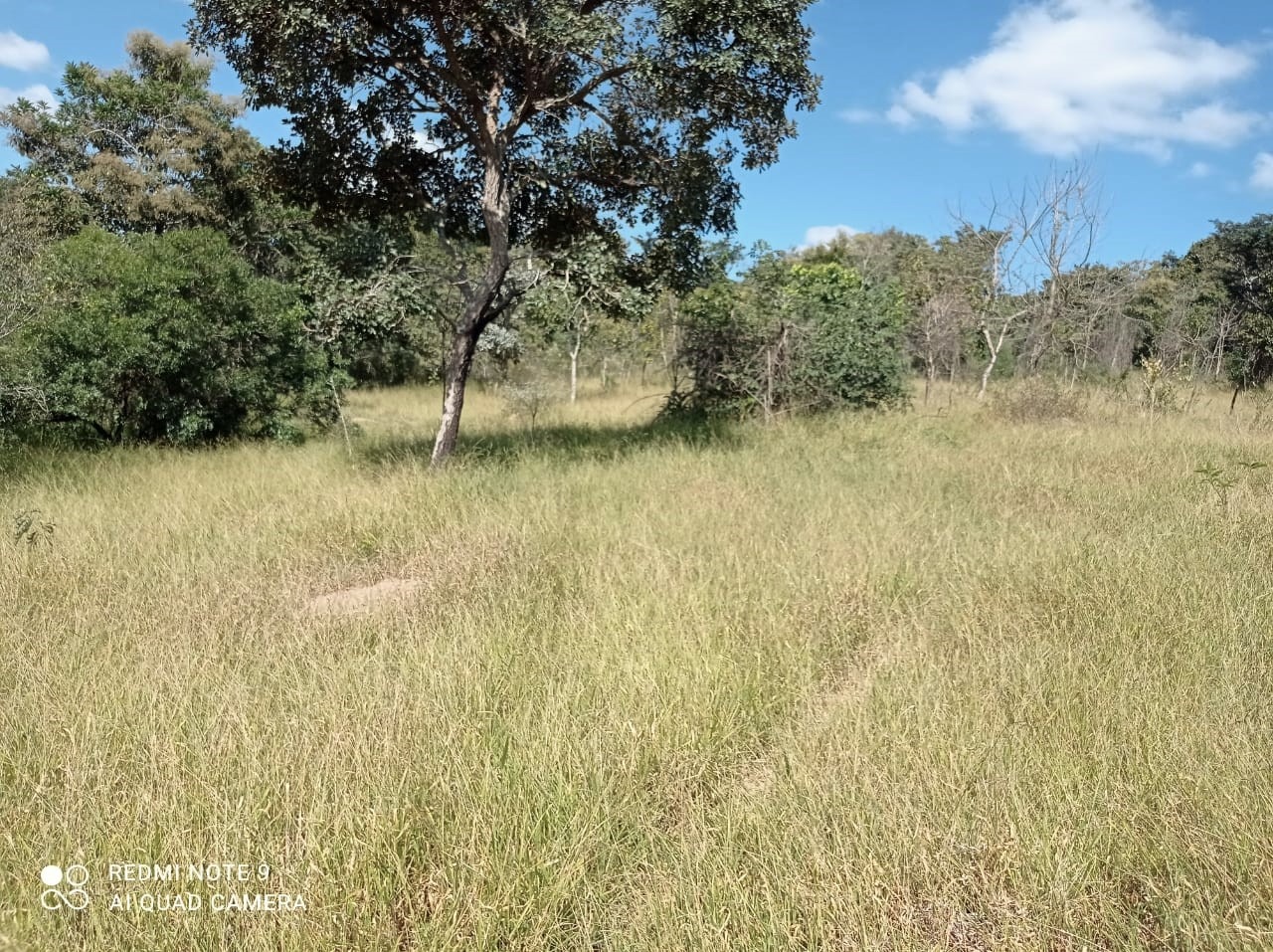 Chácara à venda com 1 quarto, 8900000m² - Foto 9