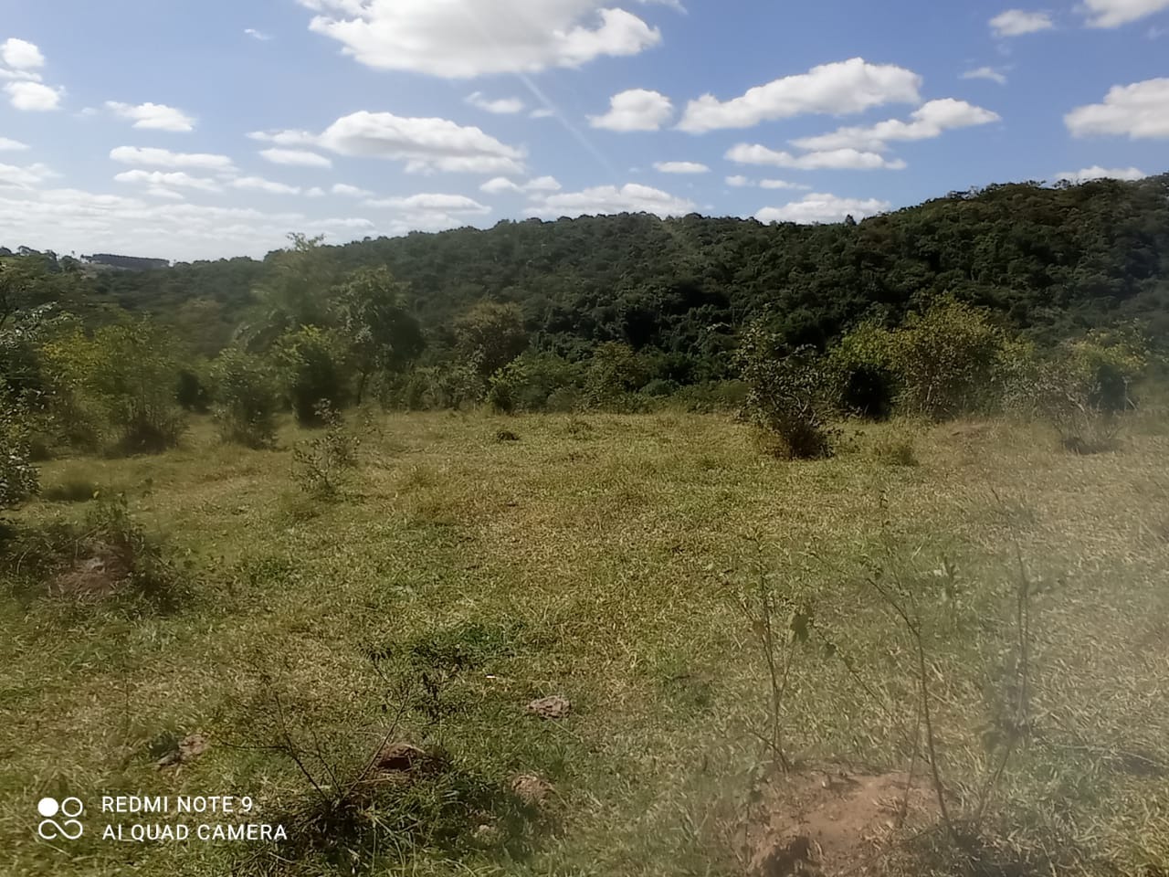 Chácara à venda com 1 quarto, 8900000m² - Foto 14