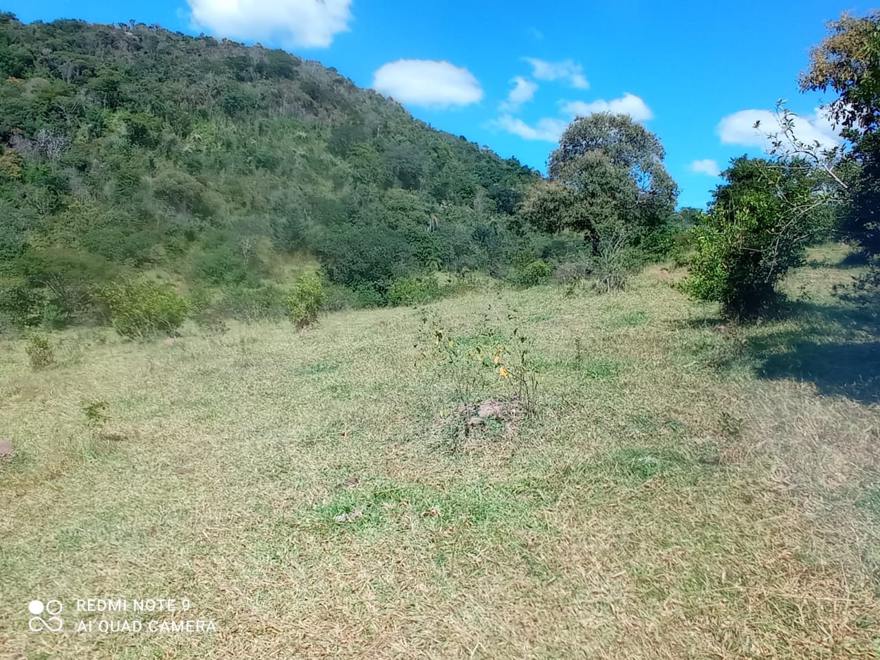 Chácara à venda com 1 quarto, 8900000m² - Foto 16