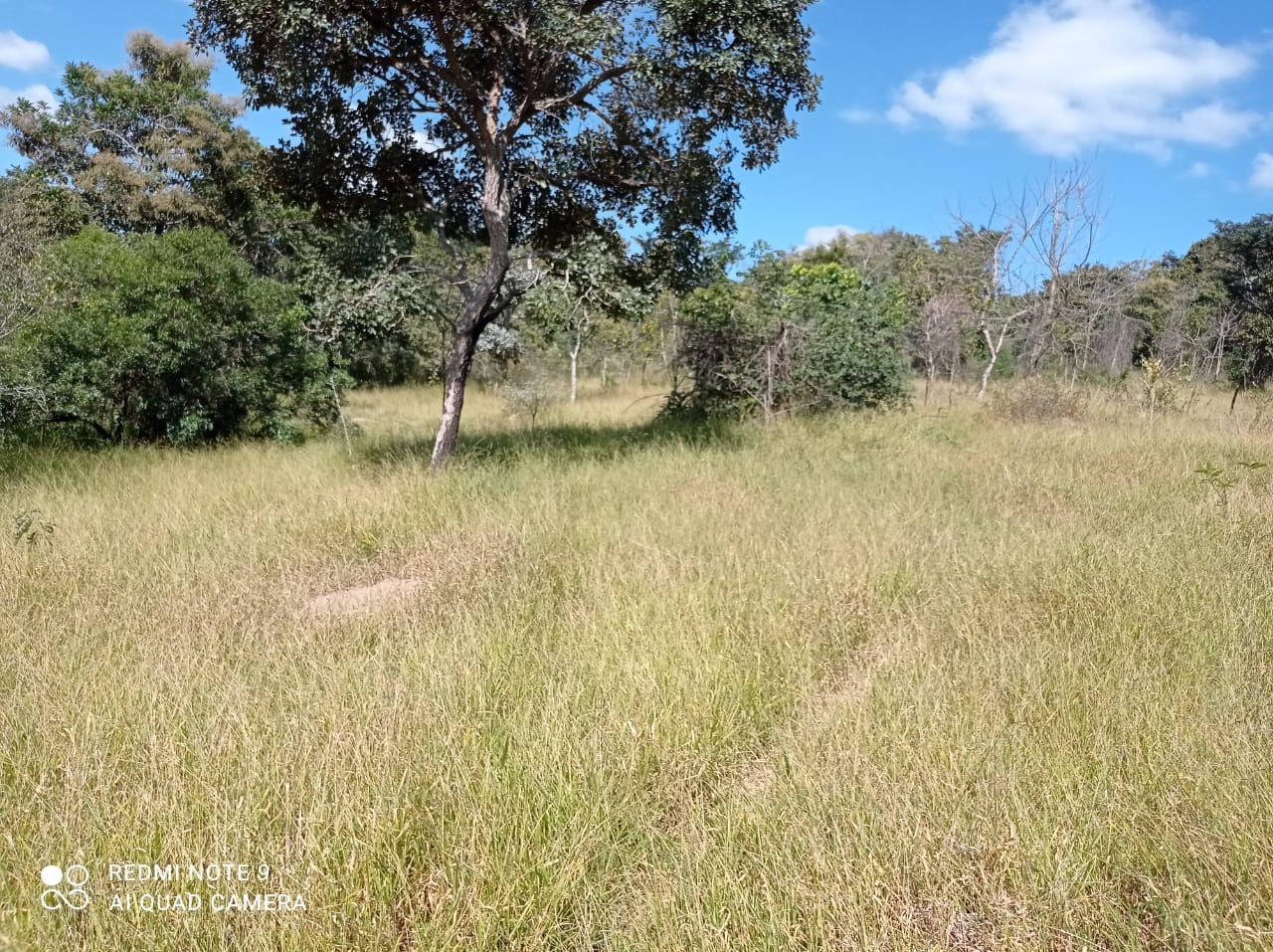 Chácara à venda com 1 quarto, 8900000m² - Foto 17