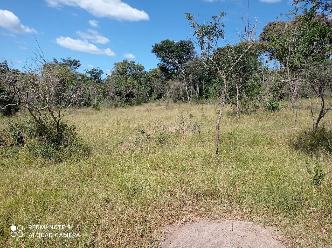 Chácara à venda com 1 quarto, 8900000m² - Foto 18