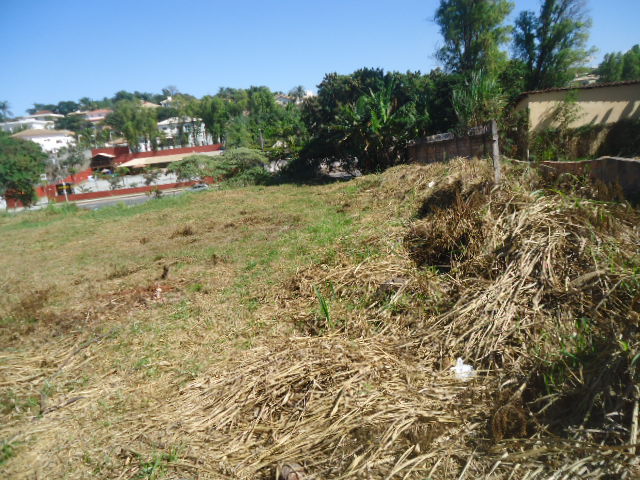 Terreno para alugar, 2240m² - Foto 6