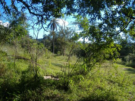 Terreno à venda, 32000m² - Foto 6